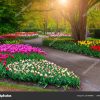 Beautiful Spring Landscape Fabulous Keukenhof Garden ... avec Jardin De Keukenhof