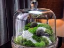 Best Terrarium Ideas 62 | Terrarium Pour Plantes Grasses ... encequiconcerne Accessoires Pour Jardin Japonais
