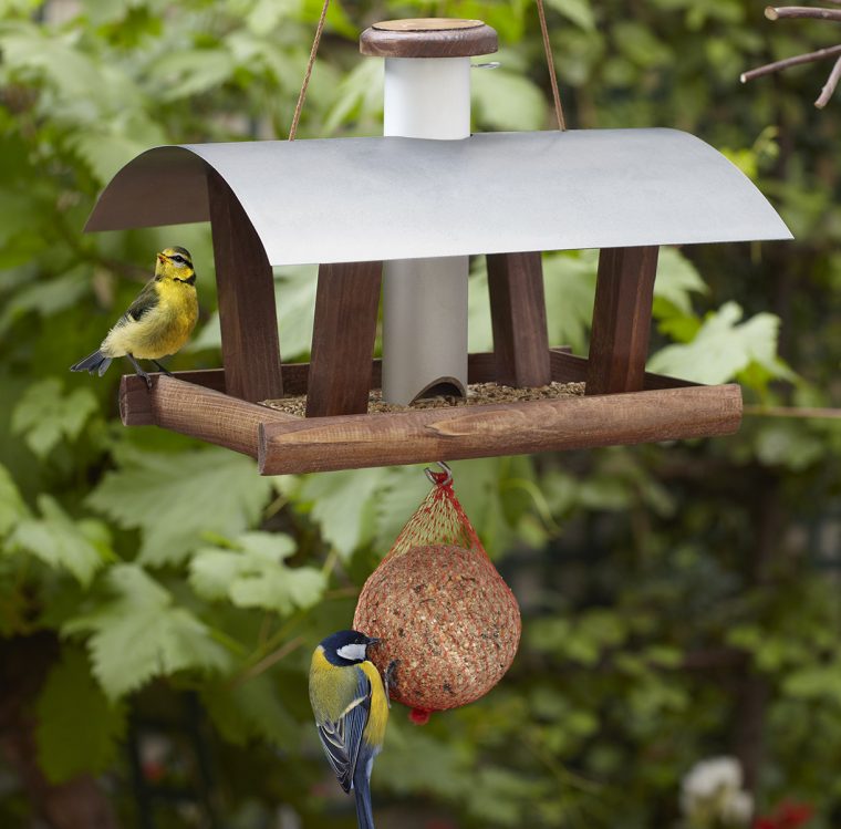 Bien Nourrir Les Oiseaux Du Jardin – Détente Jardin avec Abri Oiseau Jardin