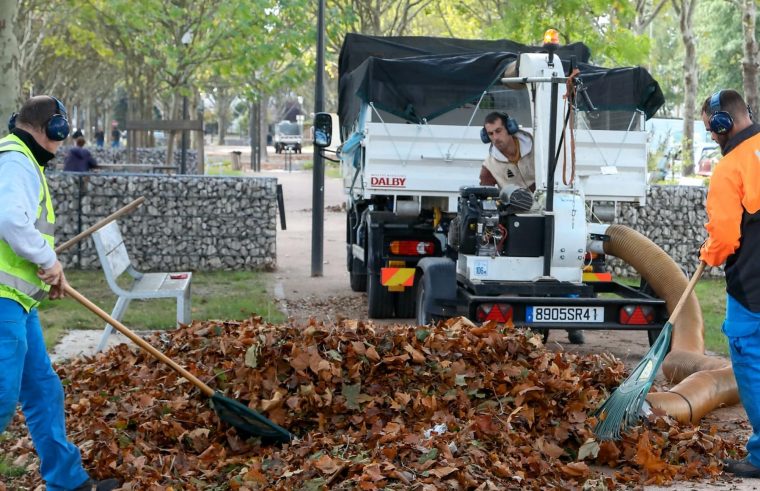 Biomasse : À Amiens, Les Feuilles Mortes Chauffent Les … concernant Bruler Feuilles Jardin