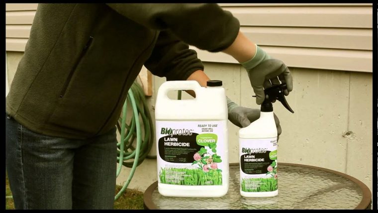 Bioprotec Herbicide Pelouse Pour Trèfle – Instructions tout Desherbant Gazon Bayer Jardin