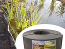 Bordure Bassin Etang Borderfix En Plastique Recyclé avec Prix D Un Bassin De Jardin