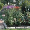 Bordure Jardin : Installer Des Bordures De Jardin | Pratique.fr encequiconcerne Bordure Jardin Pas Cher