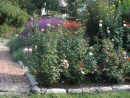 Bordure Jardin : Installer Des Bordures De Jardin | Pratique.fr serapportantà Bordure De Jardin En Bois Pas Cher