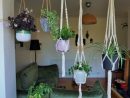 Botanic Living Decoration Ideas | Decoracion Plantas ... destiné Botanic Salon De Jardin