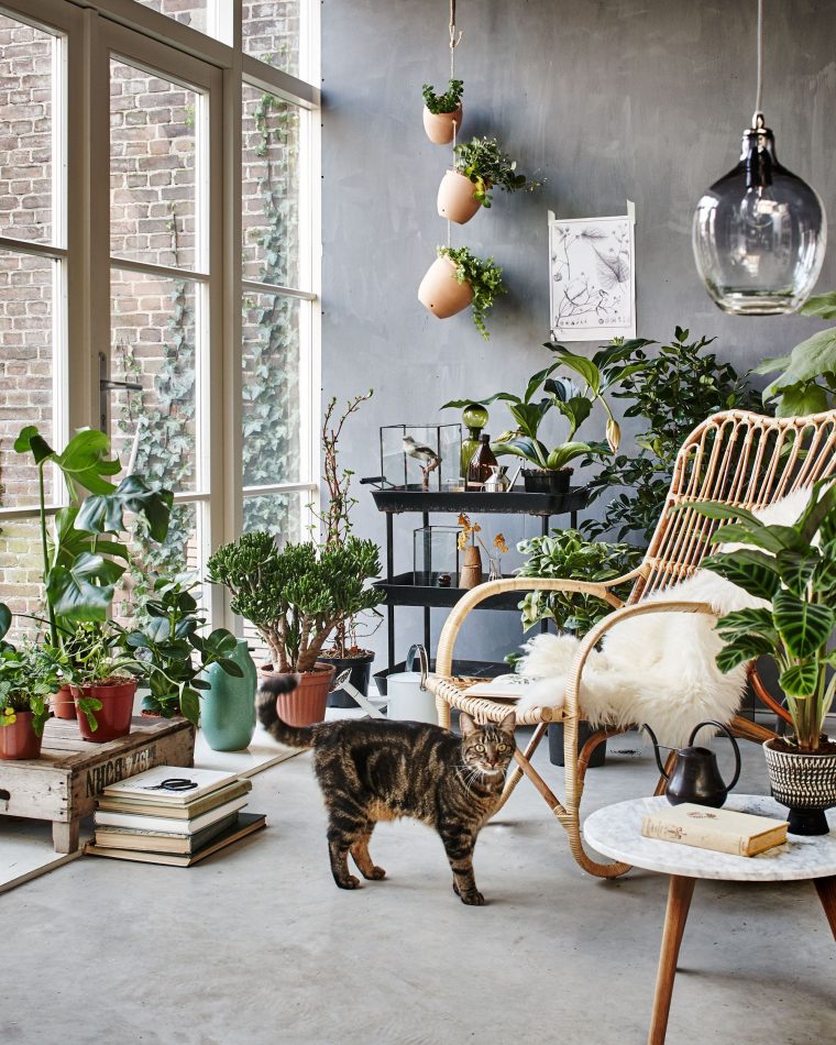 Botanic Living Room / Orangery With A Rotan Chair, Plants … dedans Botanic Salon De Jardin