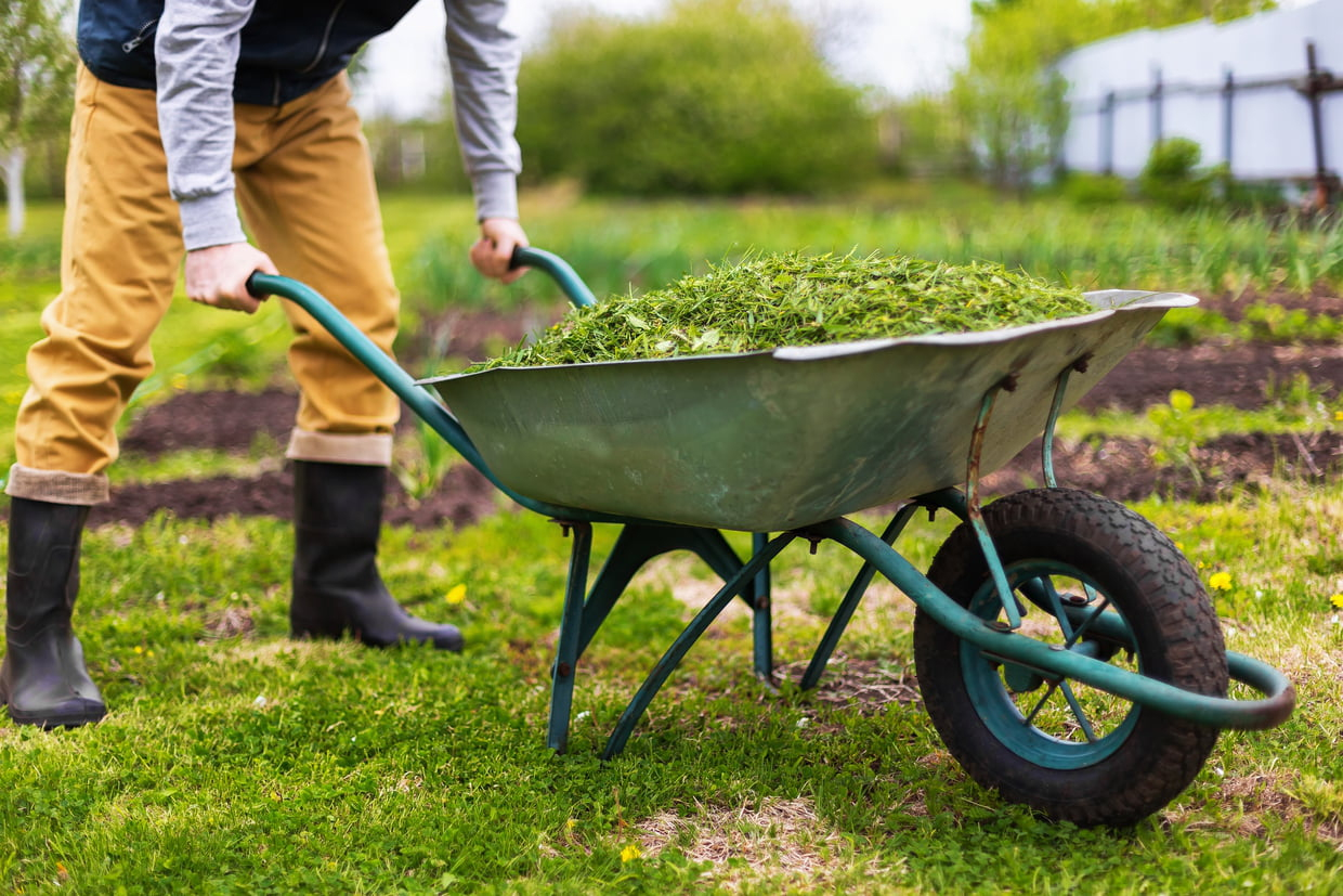 Brouette : Comment Bien Choisir Sa Brouette De Jardin, Notre ... à Brouette Deco Jardin