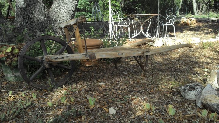 Brouette En Bois Ancienne Provençale Art Populaire Déco … destiné Brouette Deco Jardin