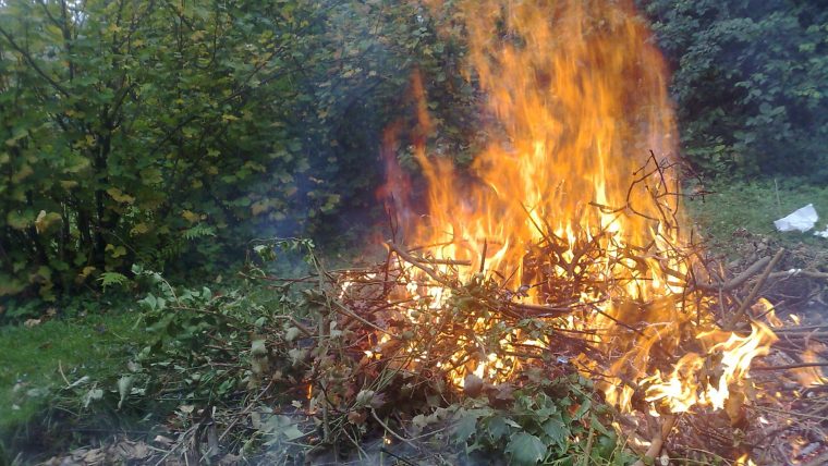 Brûlage De Végétaux Et Déchets Verts, Tout Savoir … concernant Bruler Feuilles Jardin