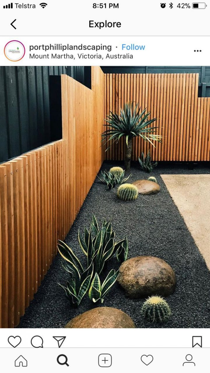 Cactus En Gravier Gris Avec Des Rochers Lisses Au Bord Du … dedans Idee Deco Jardin Gravier