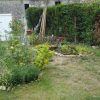Cagouille's Garden : Premier Anniversaire Du Bassin ! tout Plante Bassin De Jardin