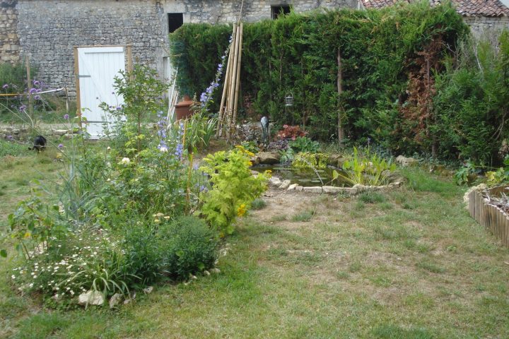 Cagouille's Garden : Premier Anniversaire Du Bassin ! tout Plante Bassin De Jardin