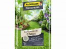 Carbonate De Chaux Algoflash Naturasol 10 Kg dedans Chaux Pour Jardin
