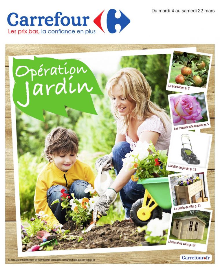 Catalogue Carrefour – 4-22.03.2014 By Joe Monroe – Issuu avec Carrefour Chalet De Jardin