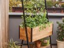 Cedar Planter Box: Apex Trellis Planter - Elevated Planter + ... intérieur Jardin Potager Sur Pied