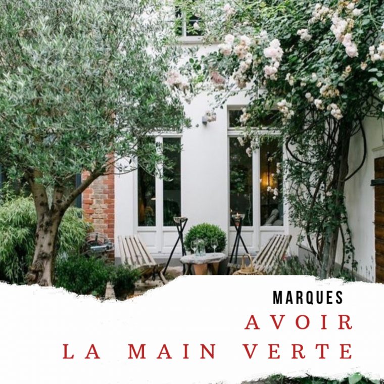 Cendrine Dominguez » Jardiland #3 : Avoir La Main Verte … encequiconcerne Arche Jardin Jardiland