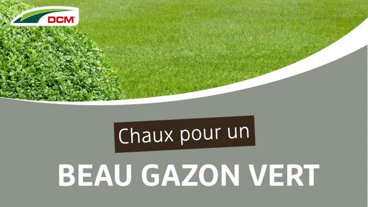 Chaux Pour Un Beau Gazon Vert – Dcm Calcaire Vert® avec Chaux Pour Jardin