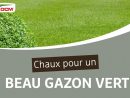 Chaux Pour Un Beau Gazon Vert - Dcm Calcaire Vert® dedans Quelle Chaux Pour Le Jardin