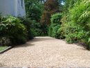 Chemin D'accès En Gravier De Dolomie - Inter Jardin pour Dolomie Jardin