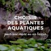 Choisir Des Plantes Aquatiques Pour Une Mare Ou Un Bassin ... avec Plante Bassin De Jardin