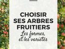 Choisir Ses Arbres Fruitiers : Formes Et Variétés | Jardin ... à Petit Arbre Fruitier Jardin
