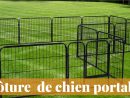 Clôture Anti Fugue Portable Pour Chien - Guide Du Meilleur ... intérieur Barriere Jardin Pour Chien