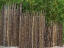 Clôture Bambou Japonaise Noir Ø5Cm avec Cache Vue Jardin