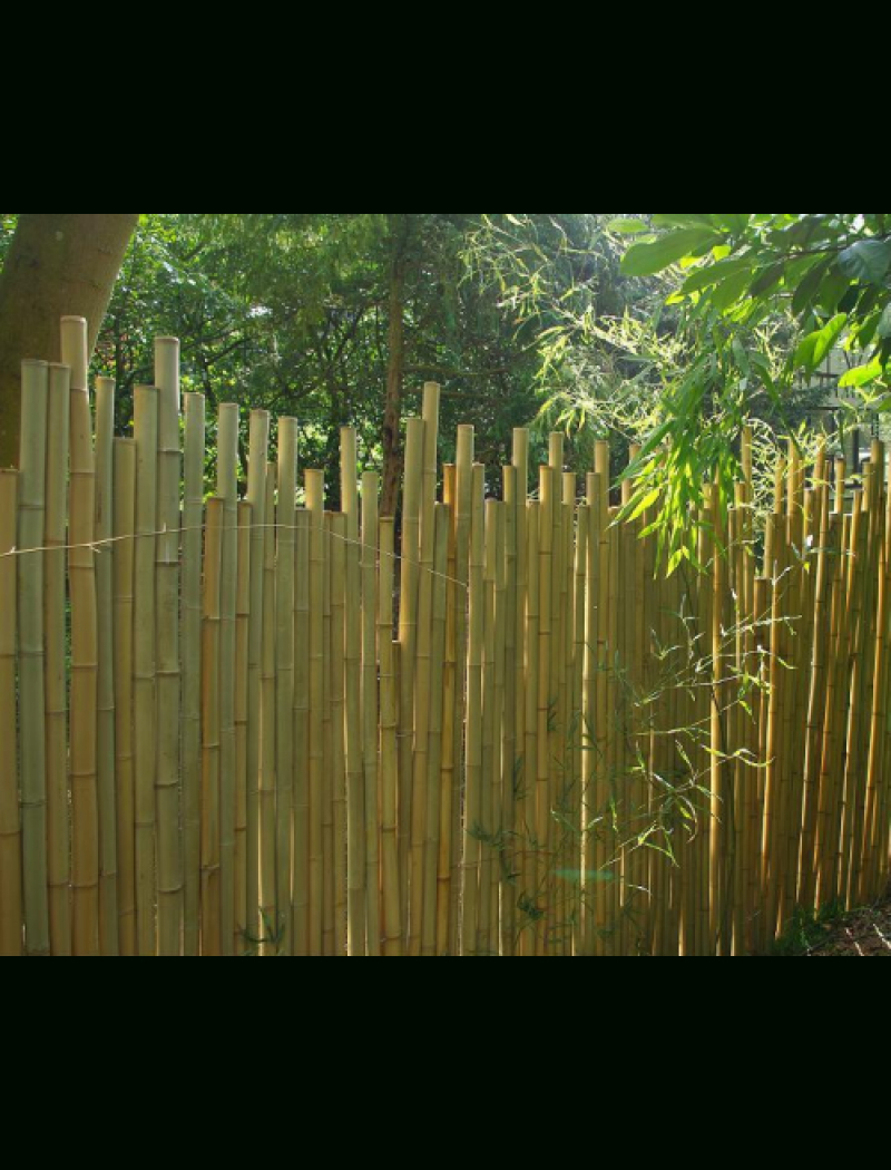 Clôture Bambou Japonaise Ø5Cm destiné Déco Jardin Bambou