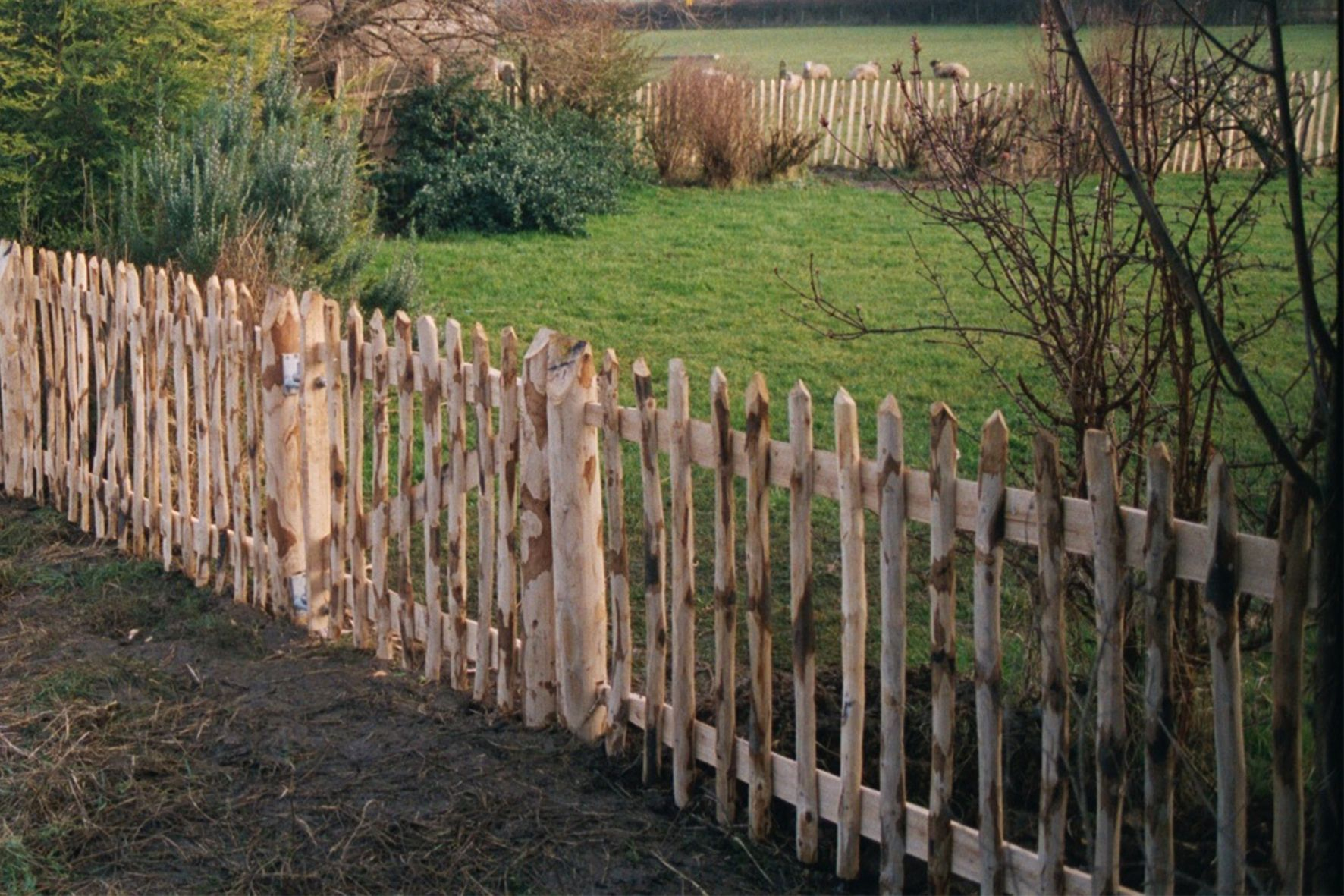 Cloture Chataignier | Jardins En Bois, Portail Jardin ... dedans Cloture Jardin Chataignier