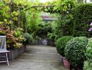 Comment Aménager Son Balcon : Choix Des Fleurs avec Mini Jardin Balcon
