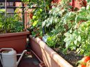 Comment Aménager Un Jardin Potager Sur Son Balcon ? – La ... dedans Faire Un Jardin Sur Son Balcon