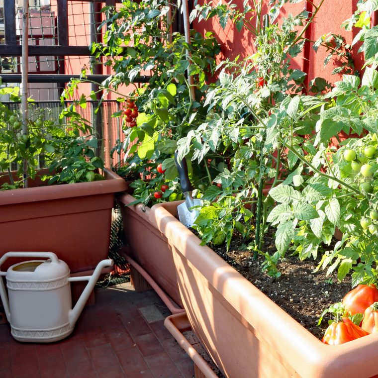 Comment Aménager Un Jardin Potager Sur Son Balcon ? – La … encequiconcerne Mini Jardin Balcon