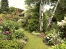Comment Aménager Un Petit Espace Au Jardin serapportantà Amenagement Jardin Avec Graminees