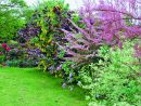Comment Choisir Les Arbustes Pour Votre Haie serapportantà Arbre De Jardin A Croissance Rapide