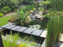 Comment Créer Son Bassin Aquatique ? - Botanica | Espaces ... concernant Entretien D Un Bassin De Jardin