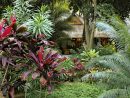 Comment Créer Un Jardin Exotique Durable | Détente Jardin tout Comment Realiser Un Jardin