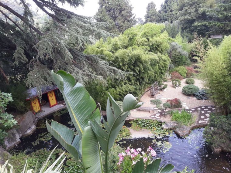 Comment Créer Un Jardin Japonais ? à Plante Pour Jardin Japonais
