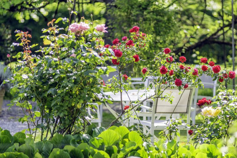 Comment Décorer Son Jardin ? – Maison&travaux à Comment Décorer Son Jardin Pas Cher