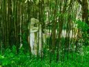 Comment Éliminer Les Bambous Cavaleurs - Hortus Focus I Mag destiné Comment Eliminer Les Bambous Dans Un Jardin