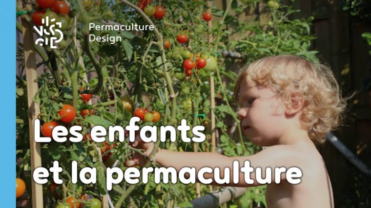 Comment Faire Découvrir La Permaculture Aux Enfants ? à Jardiner Pour Les Nuls