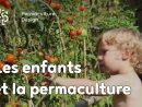 Comment Faire Découvrir La Permaculture Aux Enfants ? tout Faire Un Jardin Pour Les Nuls