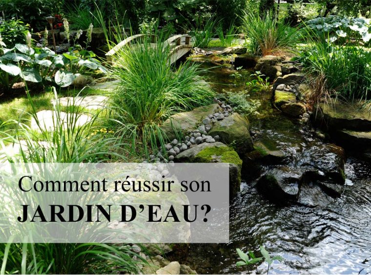 Comment Faire Son Jardin D'eau : Trucs Et Astuces Pour … à Creation Cascade Bassin Jardin