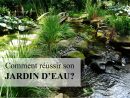 Comment Faire Son Jardin D'eau : Trucs Et Astuces Pour ... avec Bac A Poisson Jardin