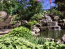 Comment Faire Son Jardin D'eau : Trucs Et Astuces Pour ... serapportantà Construction Jardin Japonais