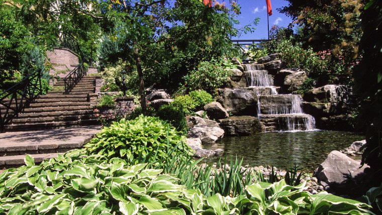 Comment Faire Son Jardin D'eau : Trucs Et Astuces Pour … tout Fontaine Naturelle Jardin