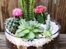 Comment Faire Un Jardin De Cactus Exemple-Petit-Recipient ... avec Jardin Cactus Miniature