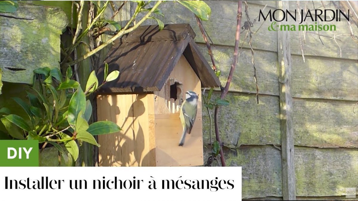 Comment Installer Un Nichoir À Mésanges ? à Nichoir Mésange Jardin