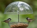 Comment Installer Une Mangeoire Oiseaux - Hello-Birdy serapportantà Abri Oiseau Jardin