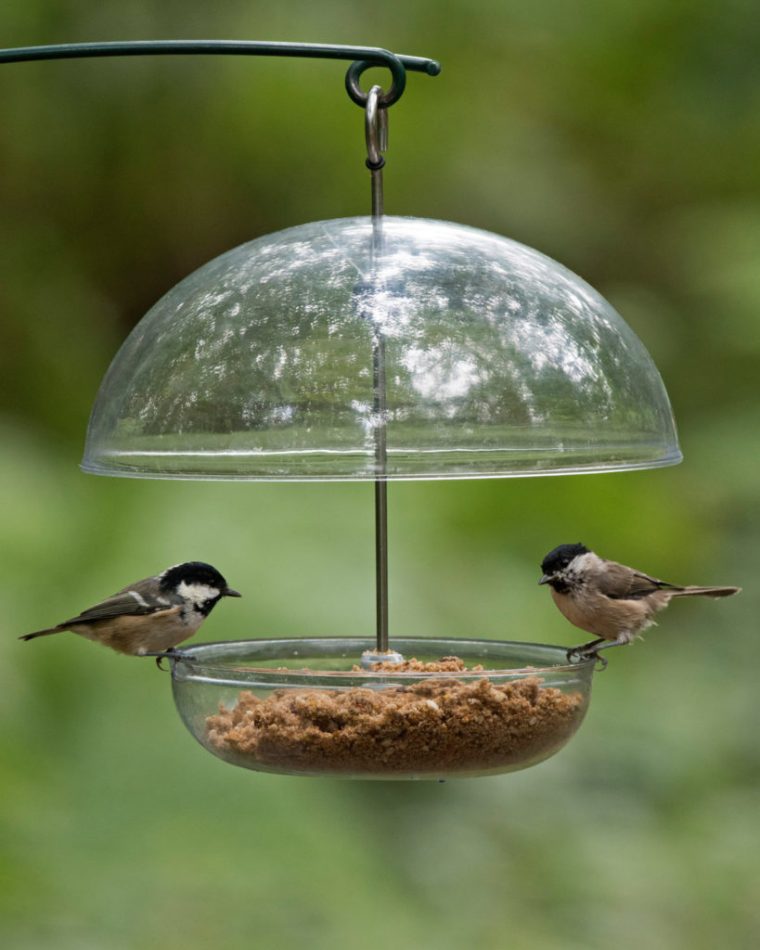 Comment Installer Une Mangeoire Oiseaux – Hello-Birdy serapportantà Abri Oiseau Jardin