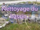 Comment Nettoyer Un Bassin : Explication tout Entretien D Un Bassin De Jardin